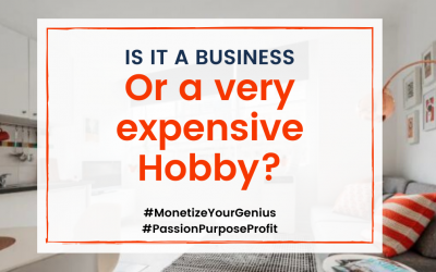 Is it a Business Or a very expensive Hobby?