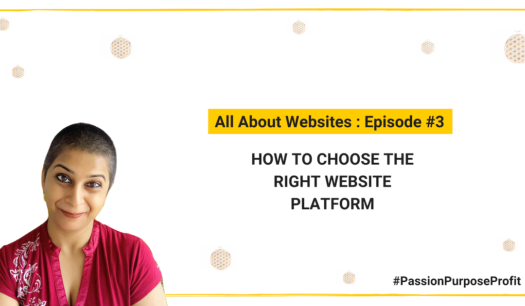 How to choose the right website platform for your biz