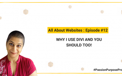 Why I use Divi and you should too!